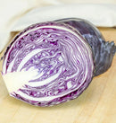 Integro F1 Coated Organic Cabbage Seeds 15 Seeds - Indoor Farmer