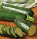Jackpot F1 Summer Squash Seeds 16 seeds - Indoor Farmer