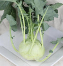 Konan F1 Coated Kohlrabi Seeds 25 seeds - Indoor Farmer
