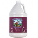 Neptune's Harvest Fish - Seaweed Fertilizer for Rose & Flowers (2 - 6 - 4) 1 GAL / 3.8 L - Indoor Farmer