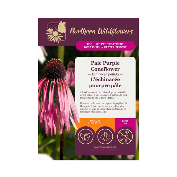 echinacea pallida seeds Graines d'échinacée pourpre pâle