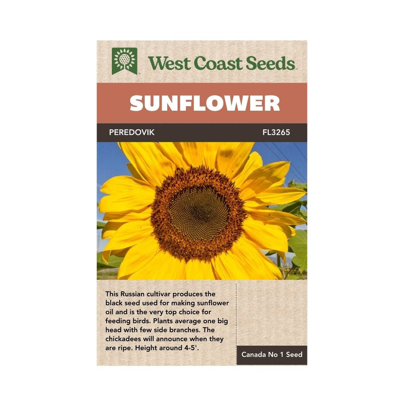 peredovik sunflower seeds for planting Peredovik Organic Sunflower Seeds