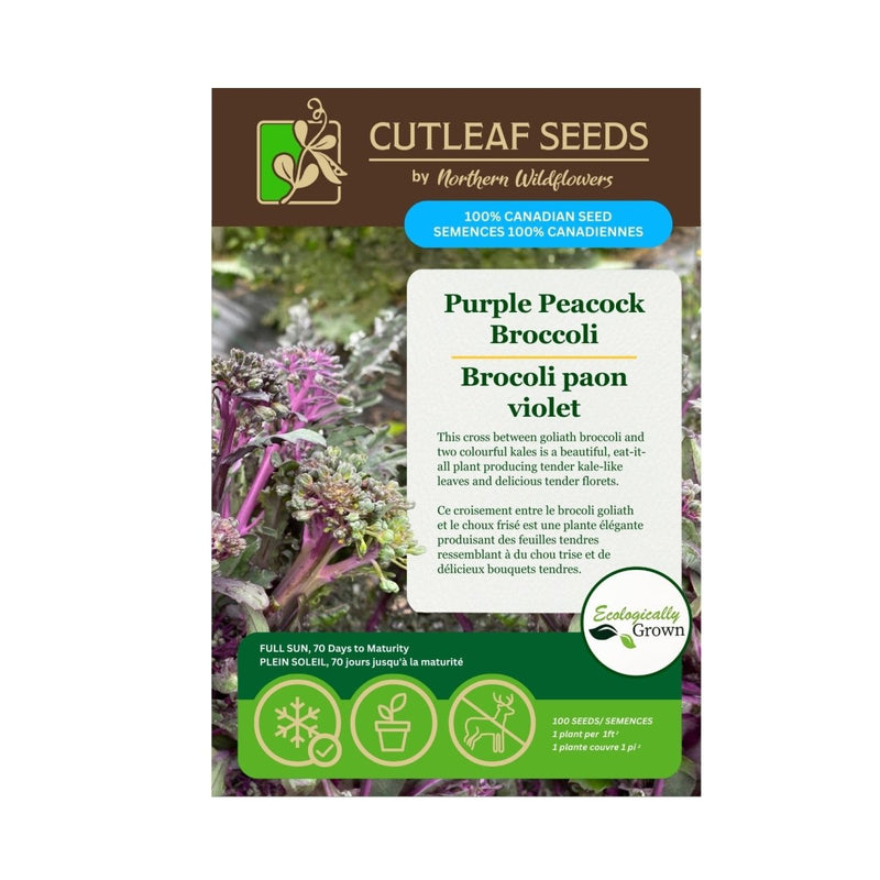 peacock plant seeds Purple Peacock Broccoli Seeds