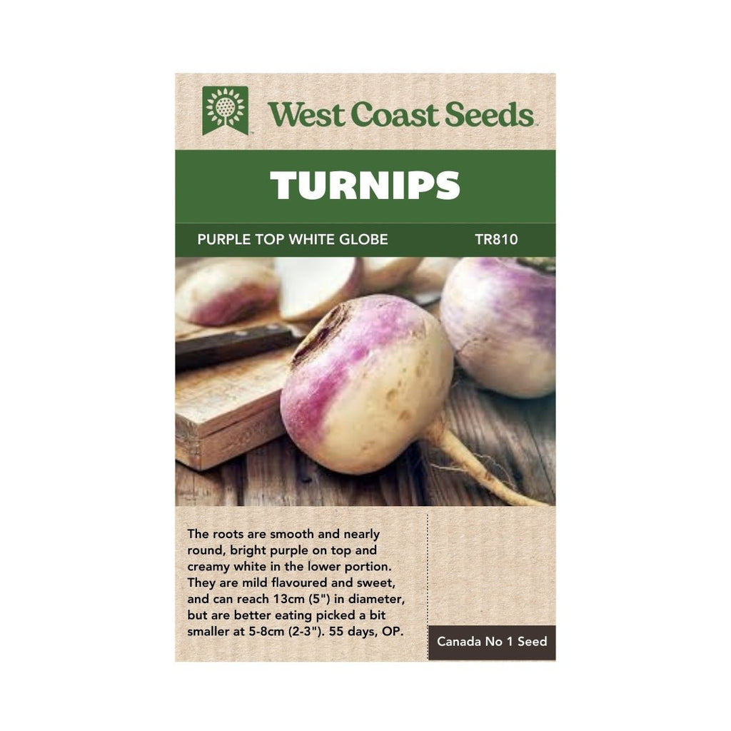 Turnip Seeds - Purple Top White Globe Variety | Rainbow Heirloom See Turnip Seeds - Purple Top White Globe Variety | Rainbow Heirloom See