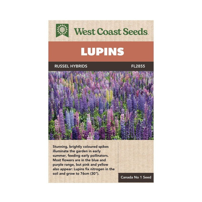 Russell Hybrids Lupin Seeds 2g (Approx. 88 seeds) - Indoor Farmer