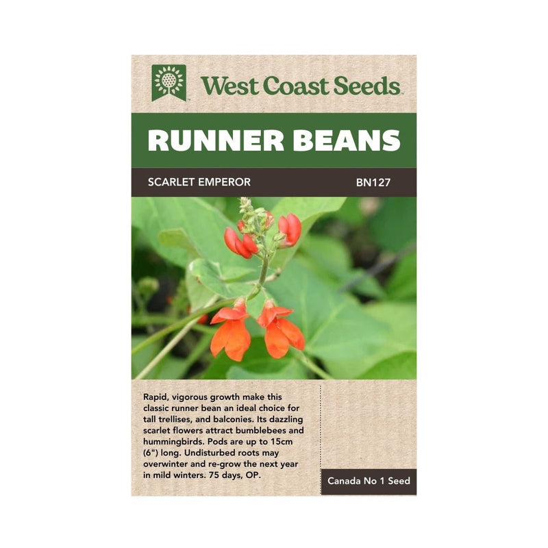 Scarlet Emperor Runner Bean Seeds 50g (Approx. 50 seeds) - Indoor Farmer