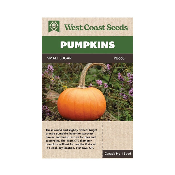 sugar pumpkin seeds to plant Small Sugar Pumpkin Seeds