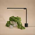 Soltech Versa Tabletop Grow Light Black - Indoor Farmer