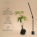 Soltech Versa Tabletop Grow Light Black - Indoor Farmer