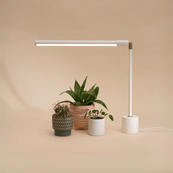 Soltech Versa Tabletop Grow Light