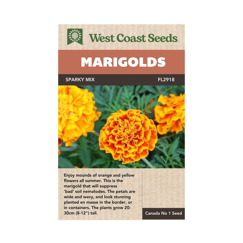 Sparky Mix Marigold Seeds 0.5g (Approx. 160 seeds) - Indoor Farmer