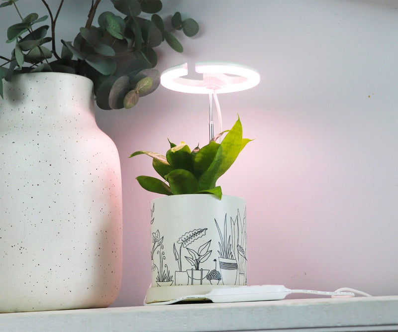 SunBlaster Halo 360 LED Plant Light - Indoor Farmer