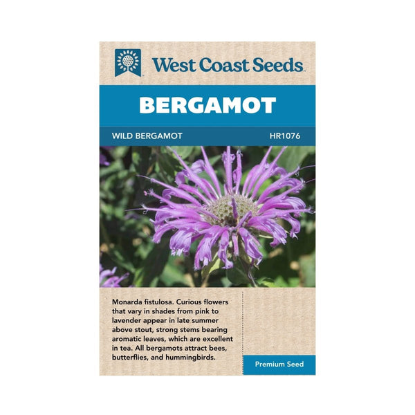 bergamot plant seeds Wild Bergamot Seeds