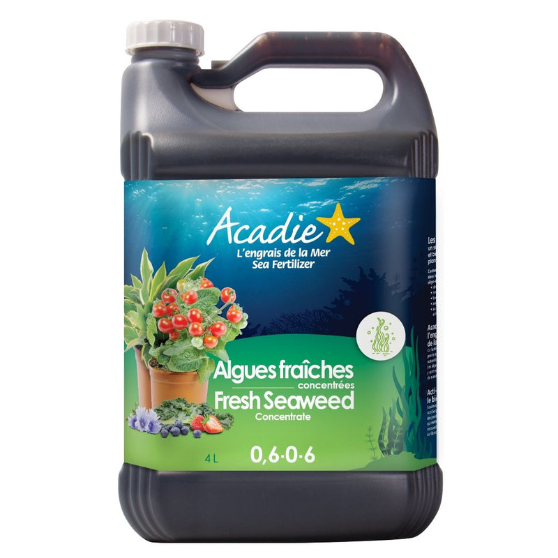 seaweed fertiliser for indoor plants Acadie Fresh Seaweed Fertilizer Concentrate (0.6-0-6)
