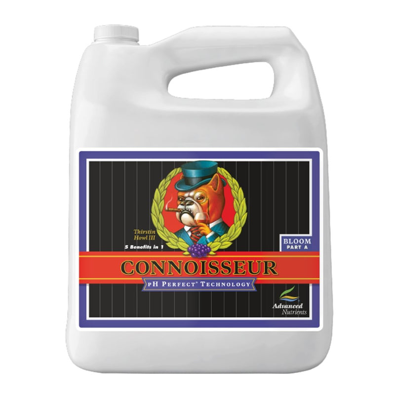 PH Perfect Connoisseur Bloom B - Image 4