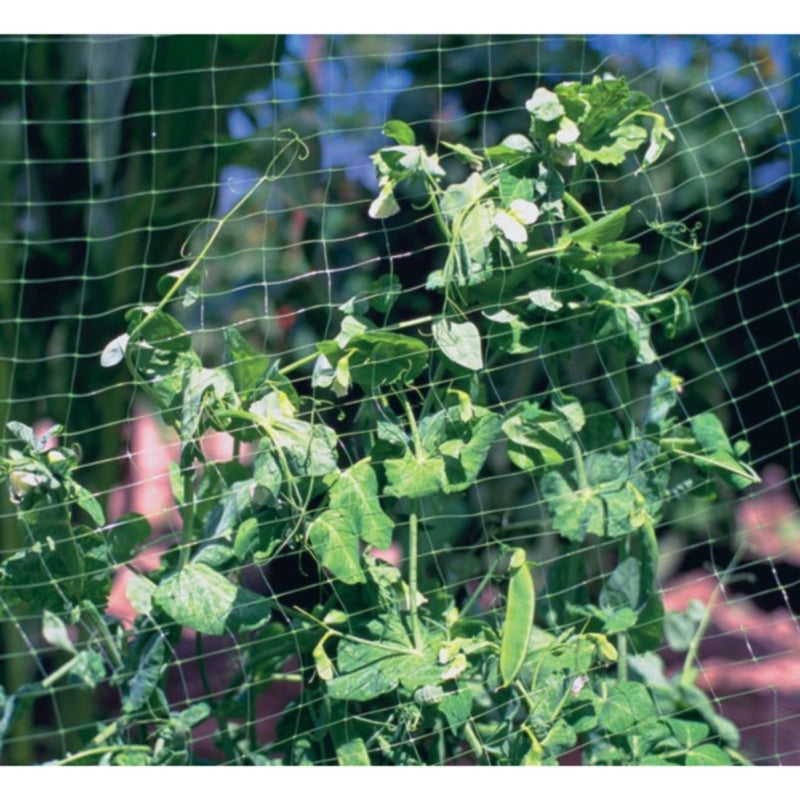 indoor plant netting American Netting Lightweight Garden Netting