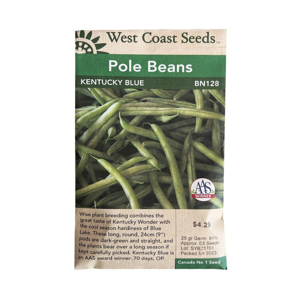 Beans - Kentucky Blue Pole Bean Seeds - Indoor Farmer