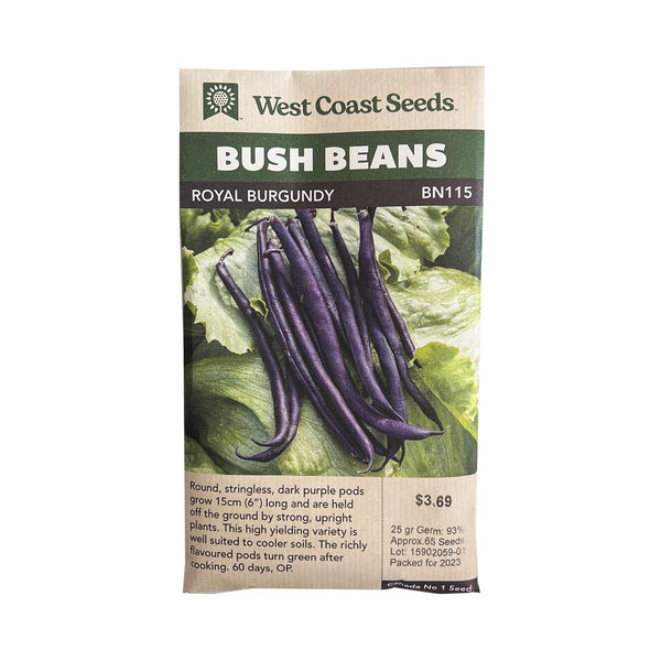 Beans - Royal Burgundy Bush Bean Seeds - Indoor Farmer