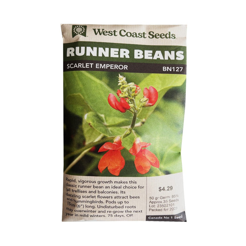 Beans - Scarlet Emperor Runner Bean Seeds 50g (Approx. 50 seeds) - Indoor Farmer