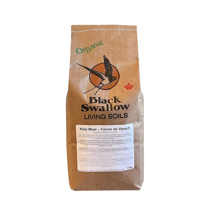 Black Swallow Kelp Meal Organic - Indoor Farmer