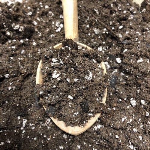 Black Swallow KIS Premium Living Soil