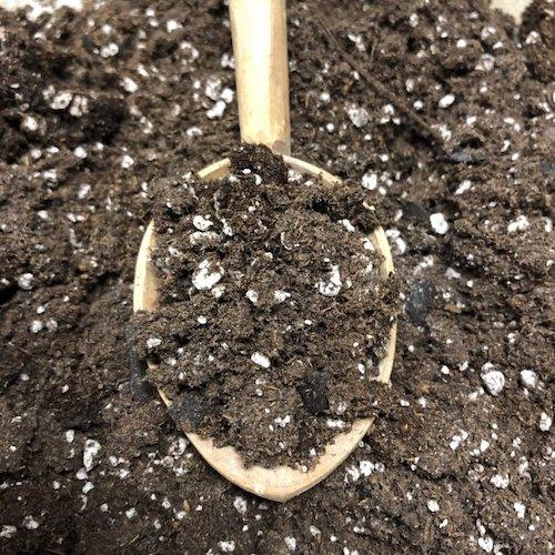 Black Swallow / KIS Organics Soil Mix - Indoor Farmer