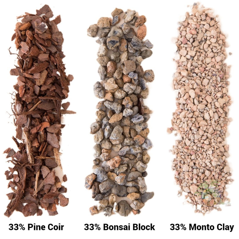 diy bonsai jack succulent soil Bonsai Jack Succulent, Cactus and Bonsai Soil - Jacks Gritty Mix