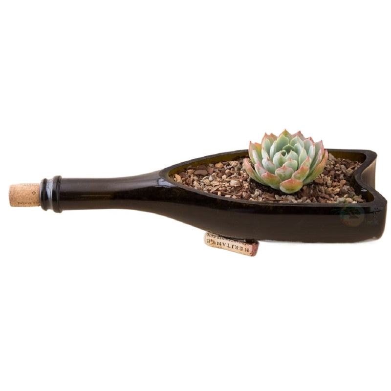 Bonsai Jack Gritty Mix Succulent and Cactus Soil - 2.2 Litre - Indoor Farmer