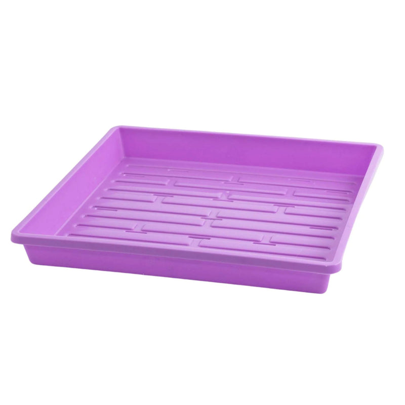 Bootstrap Farmer 1010 Extra Strength Shallow Seed Trays - Indoor Farmer