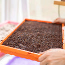 Bootstrap Farmer 1020 Extra Strength Shallow Microgreen Trays Black - Indoor Farmer