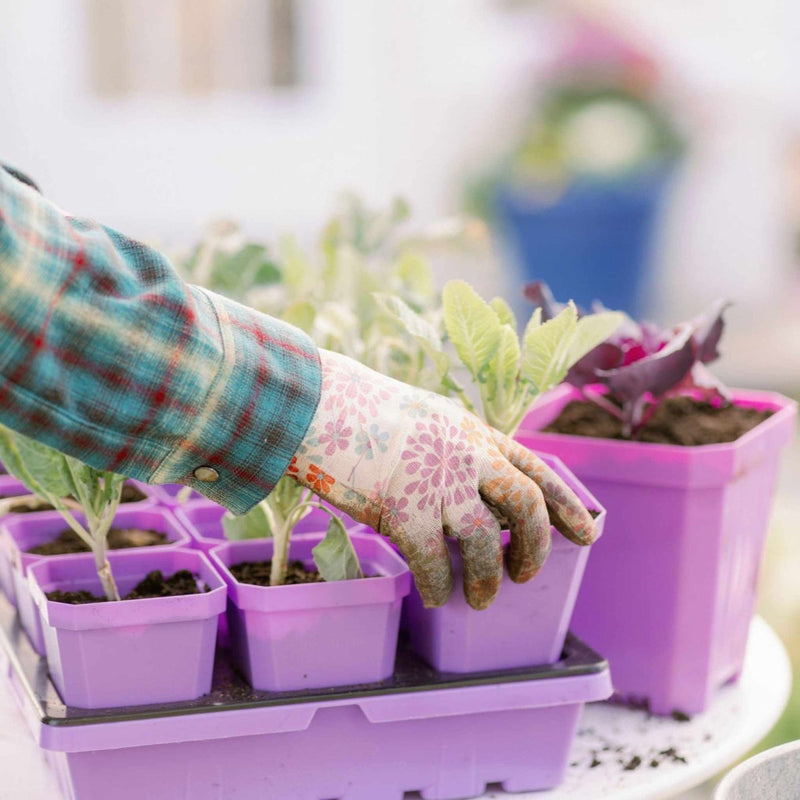 planting starter pots Bootstrap Farmer 3.3" Heavy Duty Seed Starting Pots with Tray Insert