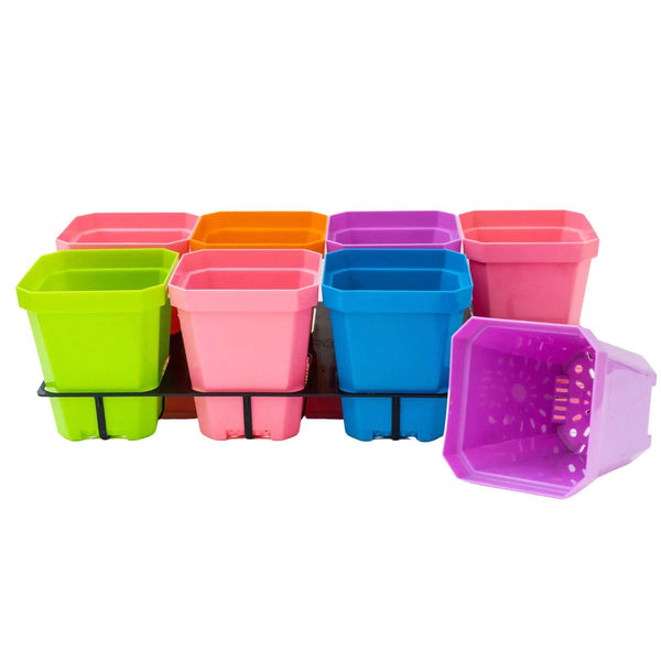 Bootstrap Farmer 5.0" Reusable Seed Starting Pots with Insert - Indoor Farmer