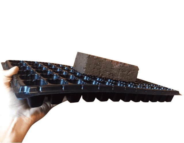 Bootstrap Farmer Seed Starting Plug Tray 50 Cell
