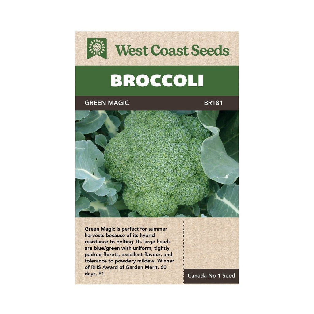 Broccoli Magic Shapoo Green Magic Broccoli Seeds