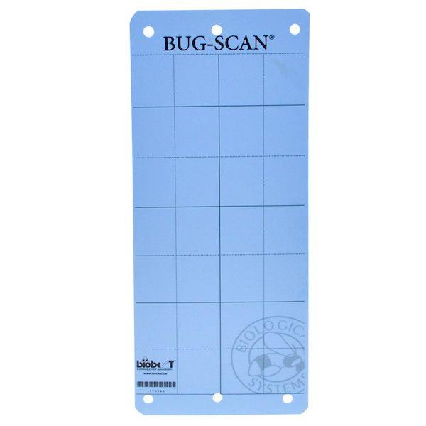 Bug-Scan Sticky Trap Thrips/Leafminer Blue (10 Pack) - Indoor Farmer