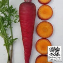 Carrots - Cosmic Purple Seeds 200 Seed Packet - Indoor Farmer