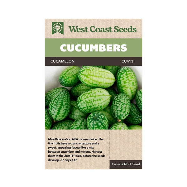 Cucumber - Cucamelon Seeds (Mexican Sour Gherkin) - Indoor Farmer