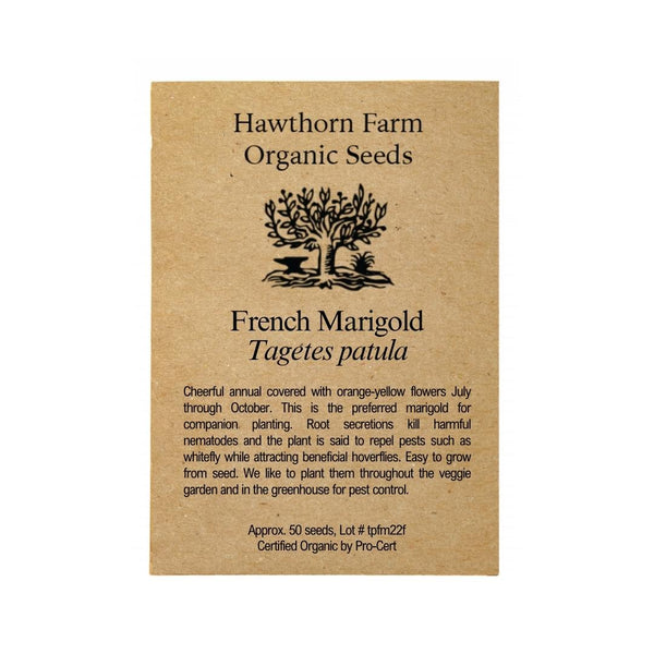 organic french marigold seeds French Marigold Seeds
