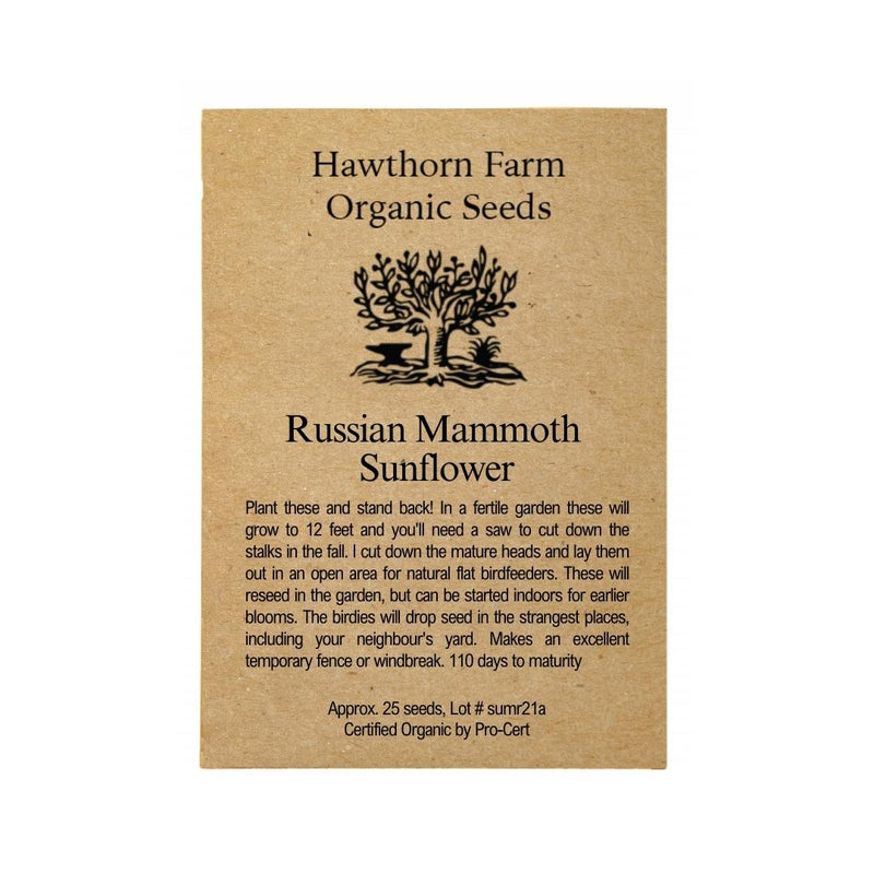 Flowers - Mammoth Russian Sunflower Seeds - Indoor Farmer