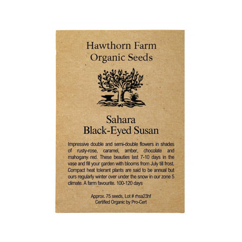 Flowers - Sahara Black-eyed Susan Seeds - Indoor Farmer