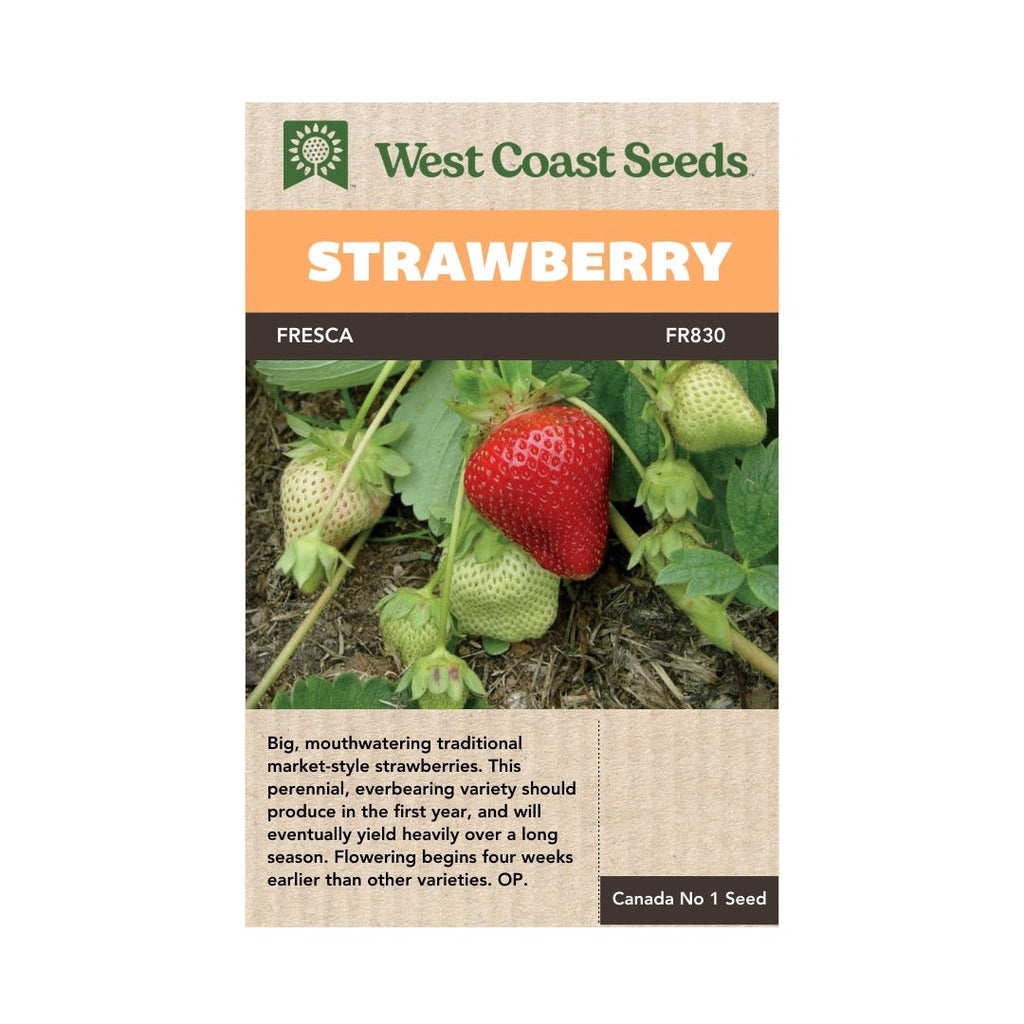 big strawberry seeds Fresca Strawberry Seeds