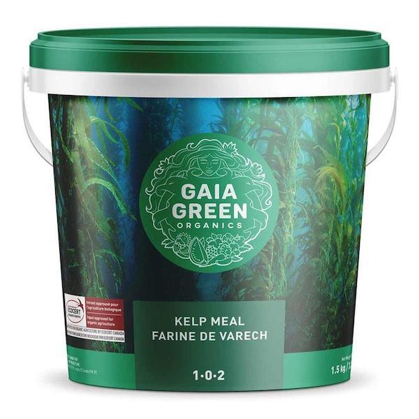 Gaia Green Kelp Meal 1-0-2 - Indoor Farmer