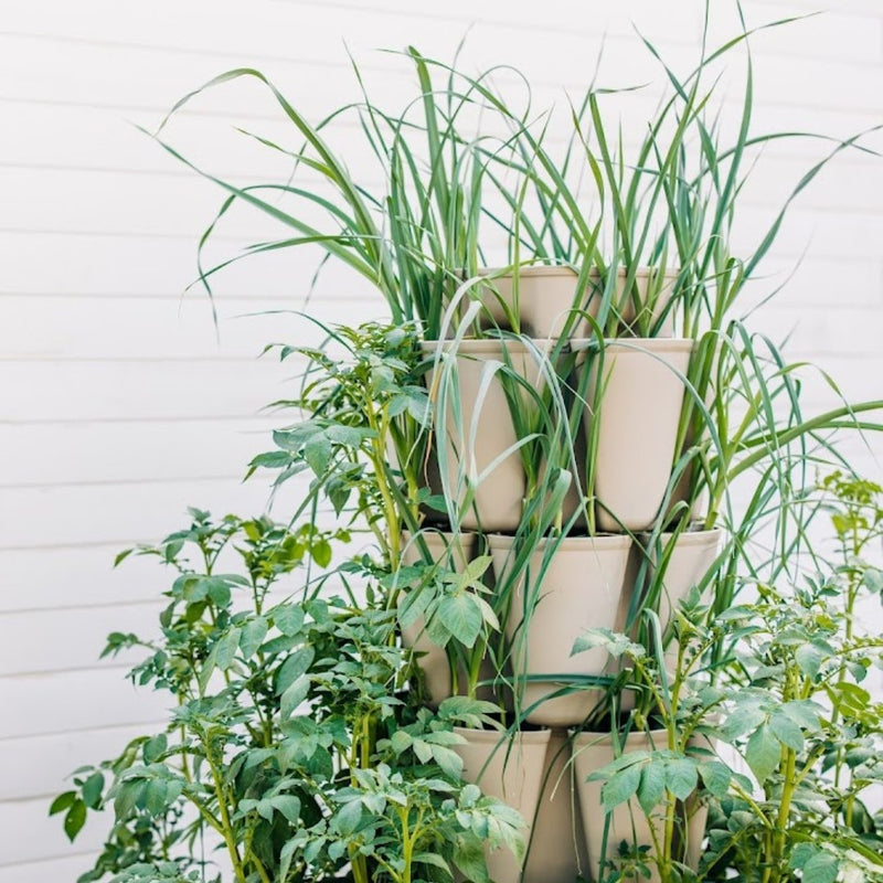 GreenStalk 5 Tier Original Vertical Planter - Indoor Farmer