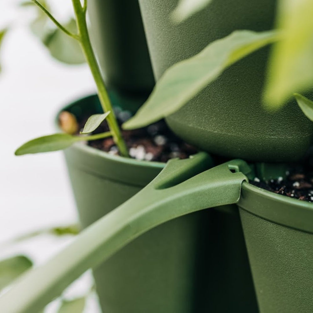 large indoor plant supports GreenStalk Plant Support