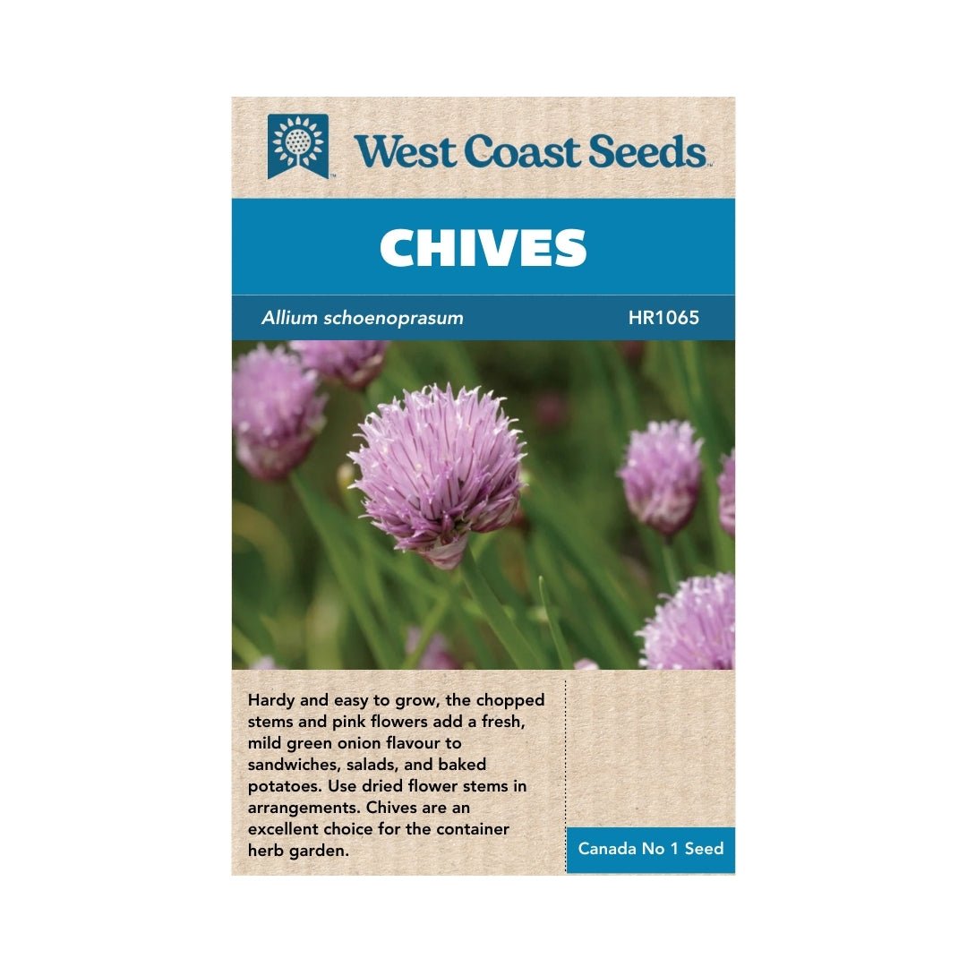 Chive Seeds - Chives Organic Seeds