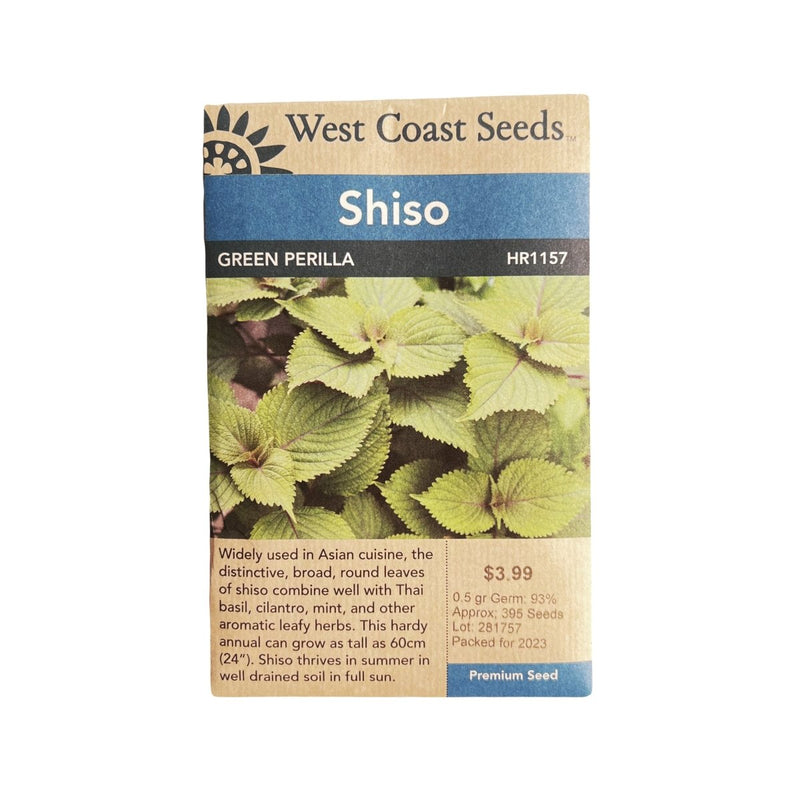 Herbs - Green Perilla Shiso Seeds 0.5g (Approx 343 Seeds) - Indoor Farmer