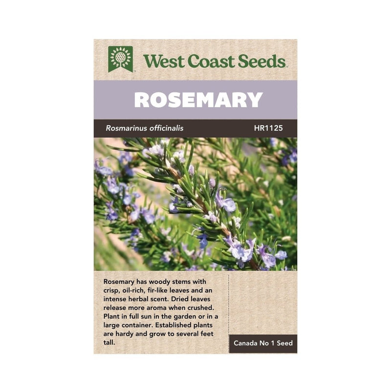 Herbs - Rosemary Seeds - Indoor Farmer