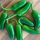 Hot Peppers - Jalapeno M Pepper Seeds 0.25g (Approx. 40 seeds) - Indoor Farmer