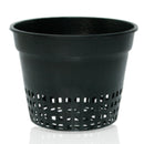 HydroFarm Net Cup (Net Pot) 6 Inch Each - Indoor Farmer