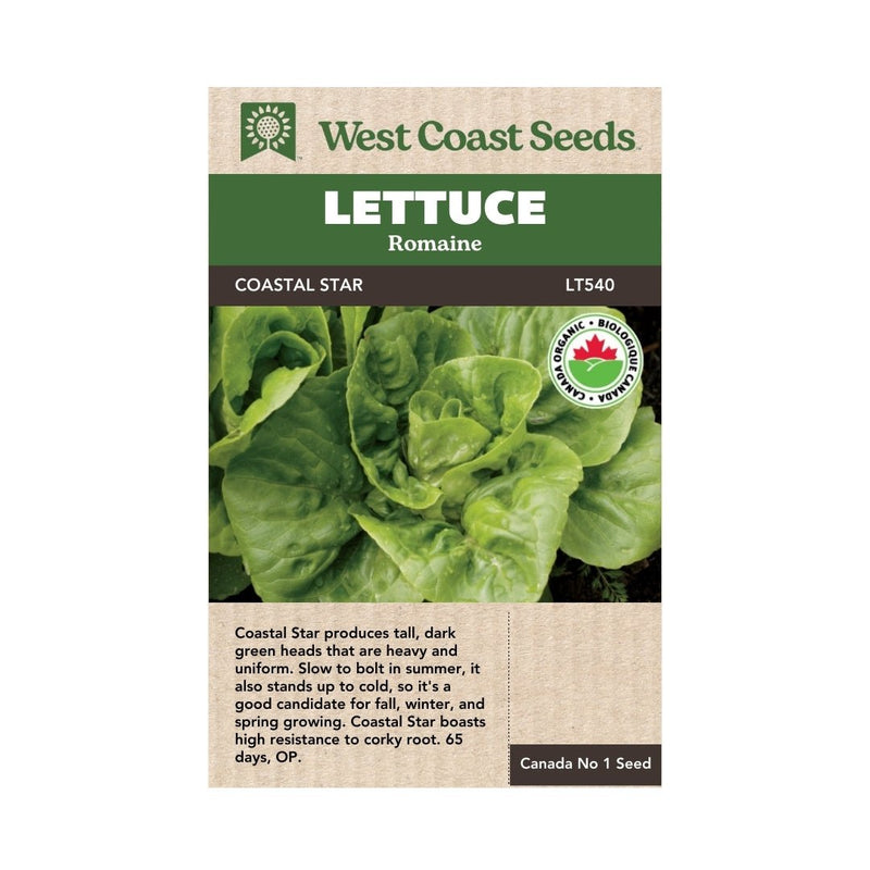 Lettuce - Coastal Star Organic Lettuce Seeds 200 seeds - Indoor Farmer